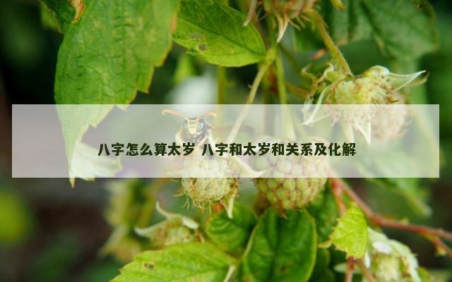 八字怎么算太岁 八字和太岁和关系及化解