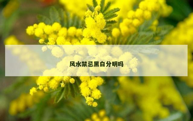 风水禁忌黑白分明吗