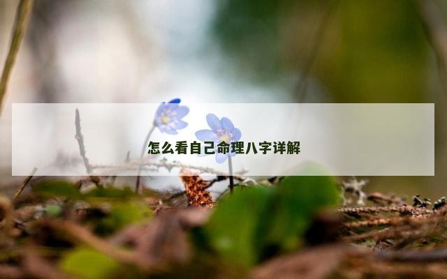 怎么看自己命理八字详解