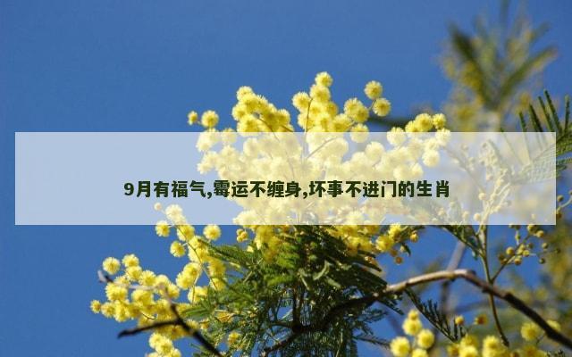 9月有福气,霉运不缠身,坏事不进门的生肖