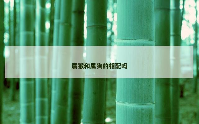 属猴和属狗的相配吗