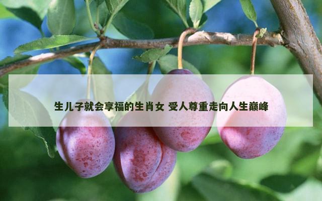 生儿子就会享福的生肖女 受人尊重走向人生巅峰