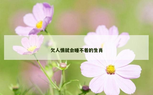欠人情就会睡不着的生肖