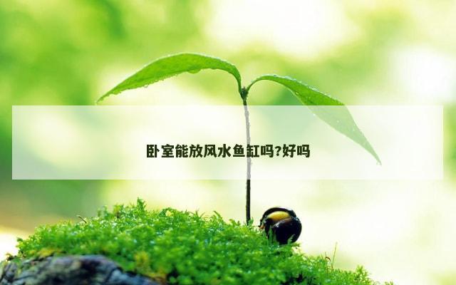 卧室能放风水鱼缸吗?好吗