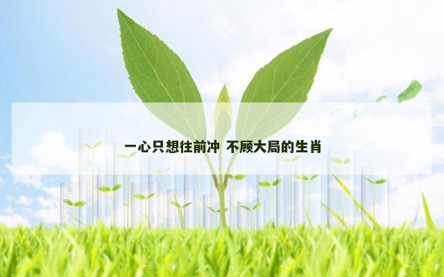 一心只想往前冲 不顾大局的生肖