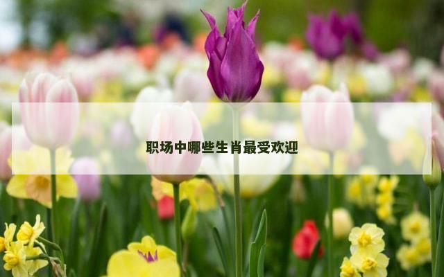 职场中哪些生肖最受欢迎