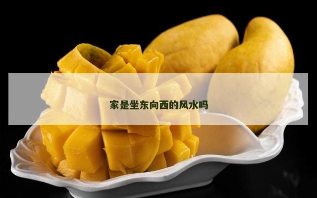 家是坐东向西的风水吗