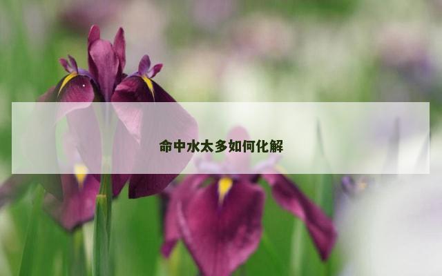 命中水太多如何化解