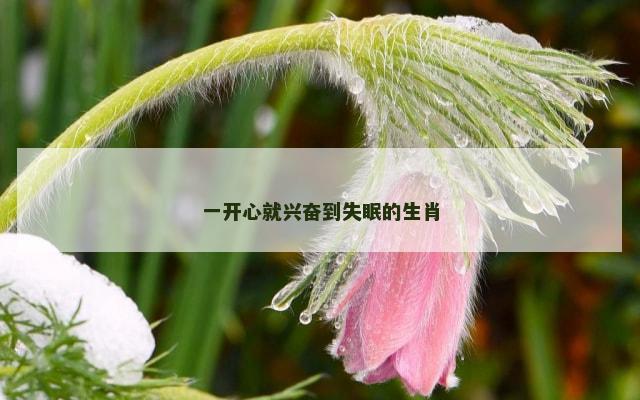 一开心就兴奋到失眠的生肖