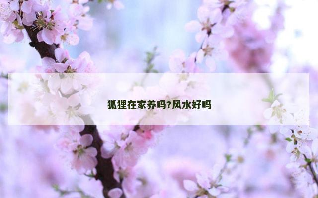 狐狸在家养吗?风水好吗