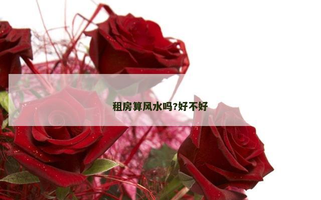 租房算风水吗?好不好