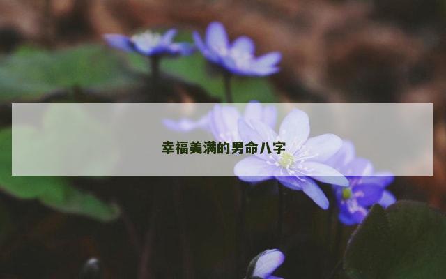幸福美满的男命八字