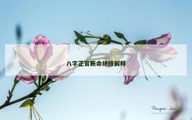 八字正官断命绝技解释