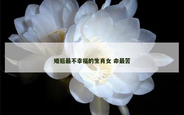婚后最不幸福的生肖女 命最苦