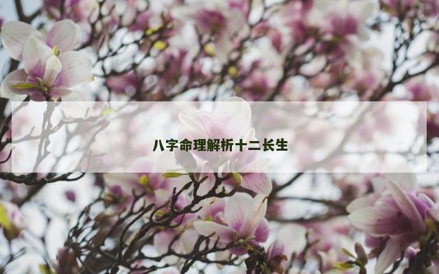 八字命理解析十二长生