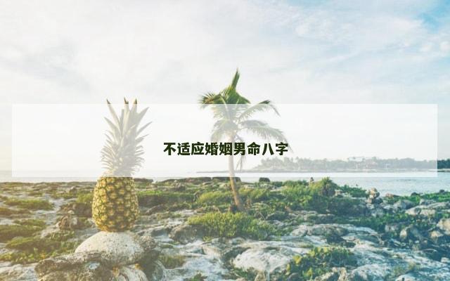 不适应婚姻男命八字