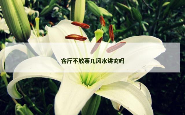 客厅不放茶几风水讲究吗