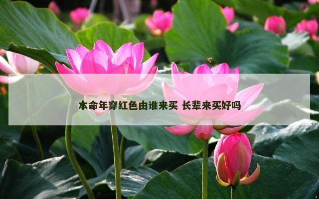 本命年穿红色由谁来买 长辈来买好吗