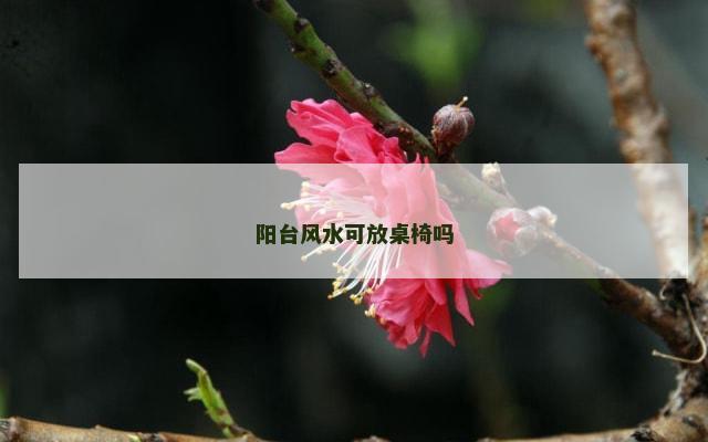 阳台风水可放桌椅吗