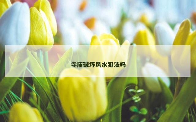 寺庙破坏风水犯法吗