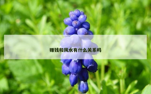赚钱和风水有什么关系吗