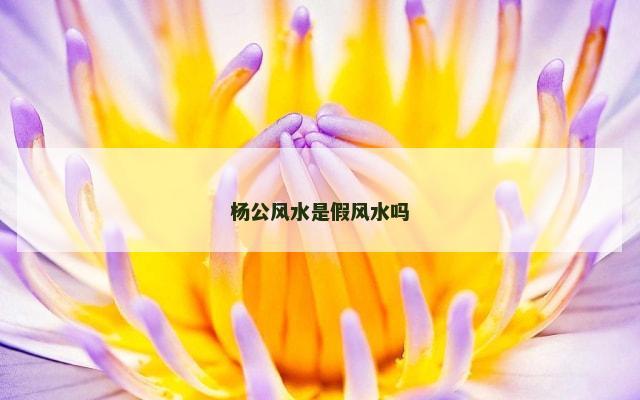 杨公风水是假风水吗