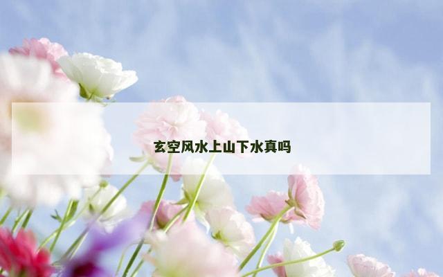 玄空风水上山下水真吗