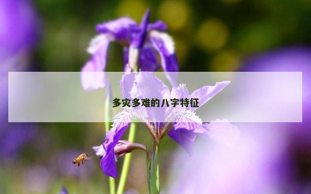 多灾多难的八字特征