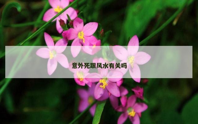 意外死跟风水有关吗