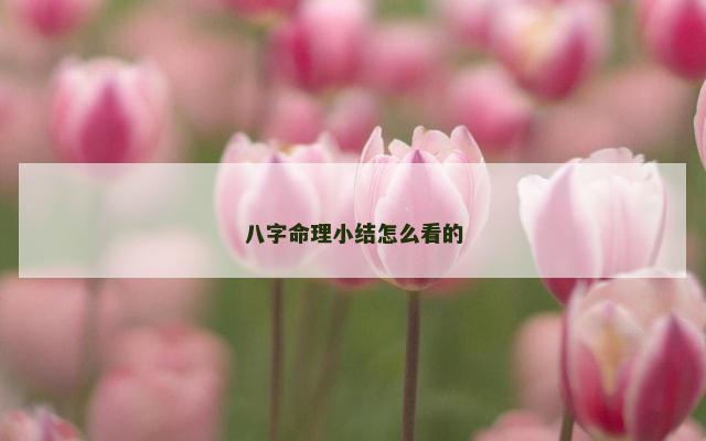 八字命理小结怎么看的