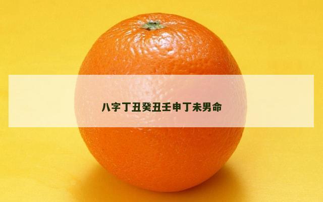 八字丁丑癸丑壬申丁未男命