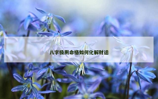 八字极阴命格如何化解财运