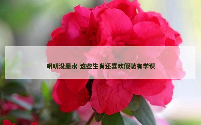 明明没墨水 这些生肖还喜欢假装有学识
