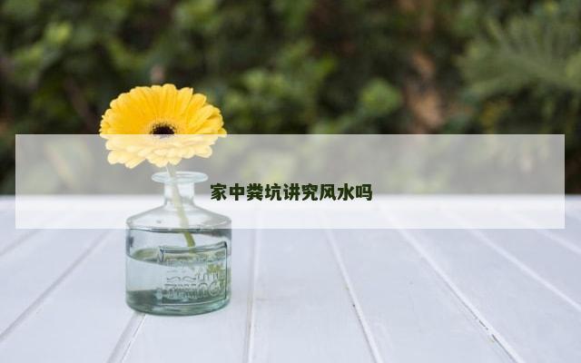 家中粪坑讲究风水吗