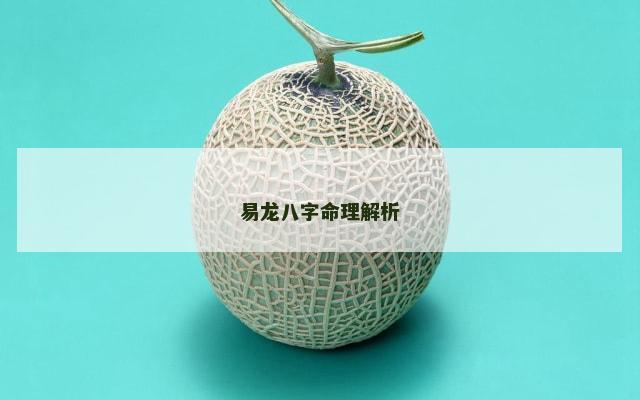易龙八字命理解析