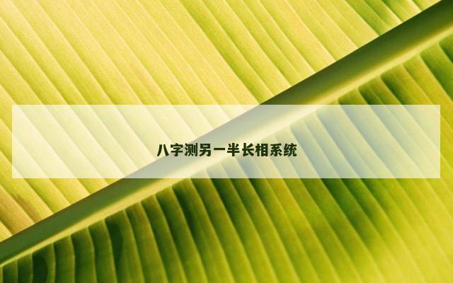 八字测另一半长相系统
