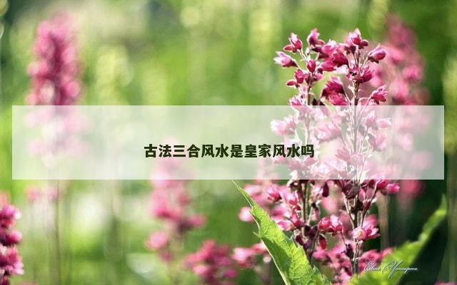 古法三合风水是皇家风水吗