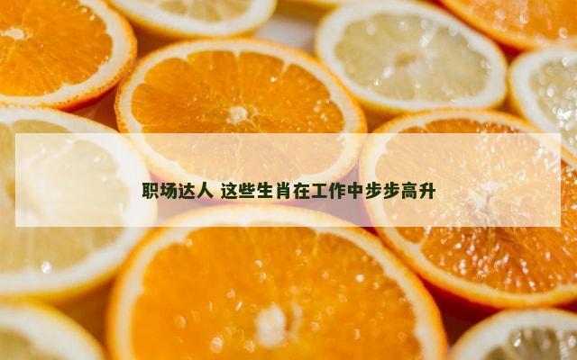 职场达人 这些生肖在工作中步步高升