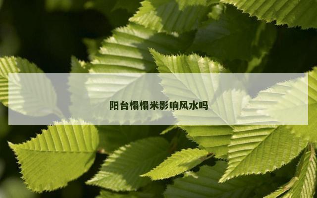 阳台榻榻米影响风水吗