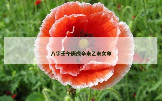 八字壬午庚戌辛未乙未女命