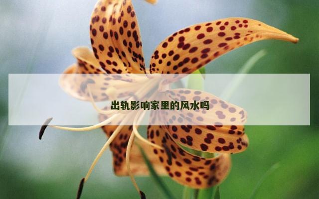 出轨影响家里的风水吗