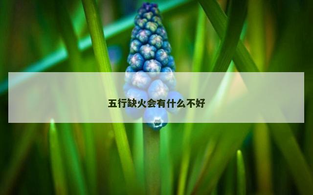 五行缺火会有什么不好