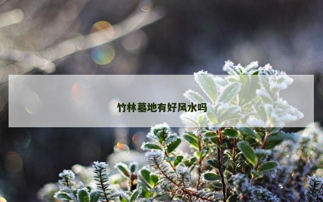 竹林墓地有好风水吗