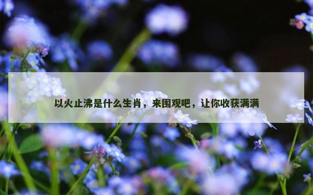 以火止沸是什么生肖，来围观吧，让你收获满满