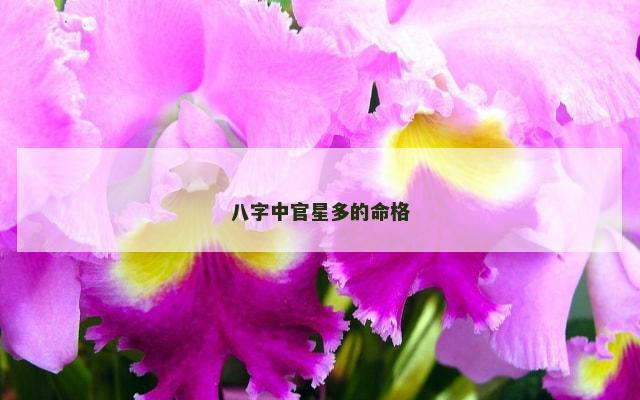 八字中官星多的命格