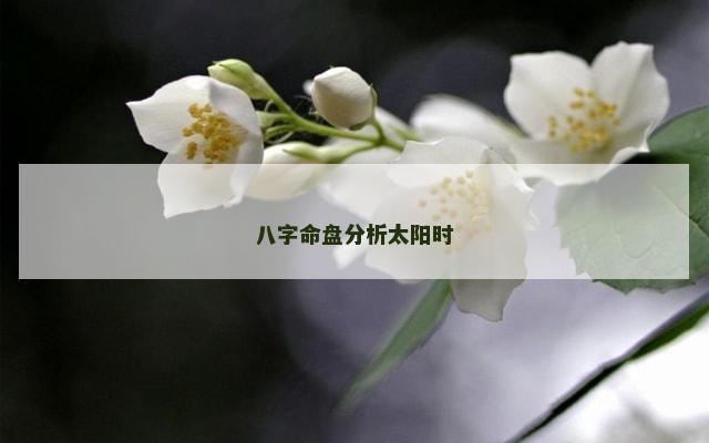 八字命盘分析太阳时