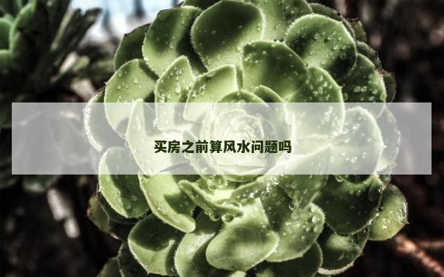 买房之前算风水问题吗
