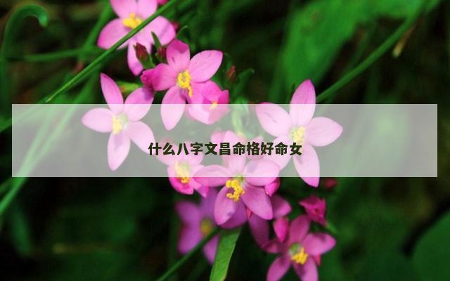 什么八字文昌命格好命女