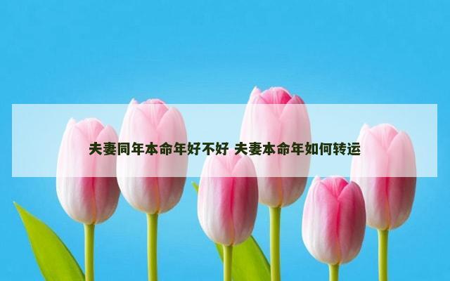 夫妻同年本命年好不好 夫妻本命年如何转运