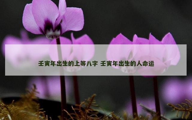 壬寅年出生的上等八字 壬寅年出生的人命运